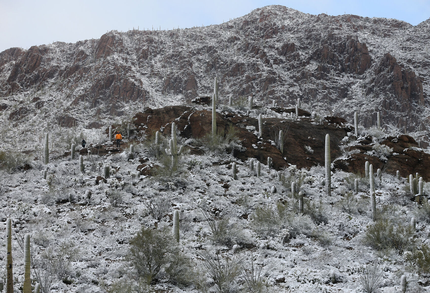 Snow, Tucson, 2023